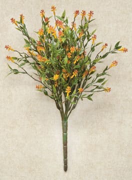 BreeBe - Bean Leaf Bush - 13" - Multi