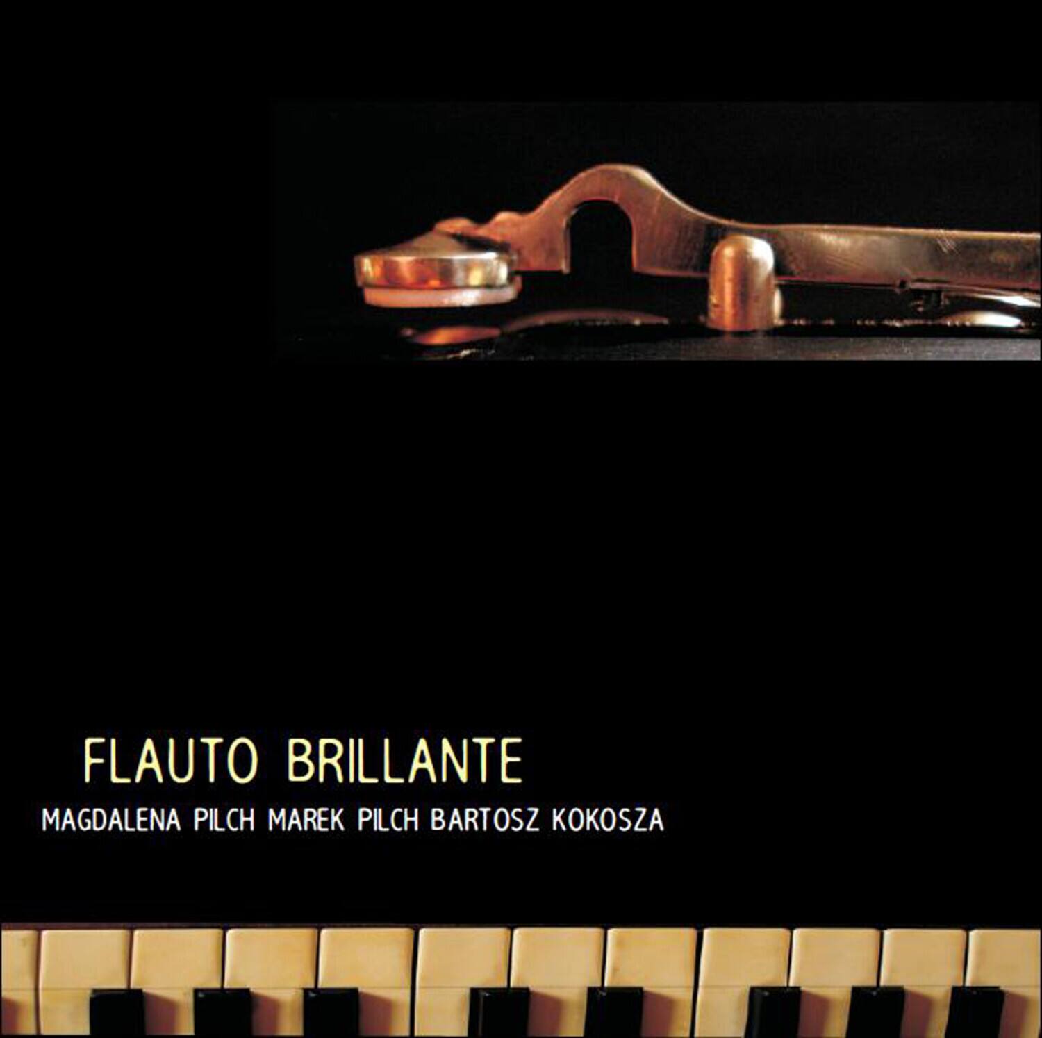 Magdalena Pilch - Flauto Brillante   - COMPACT DISCS [CD] price history on PriceWatchPro