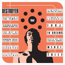 Destroyer - Thief - VINYL LP