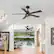 Alt View 1. Breezary - 42-In Indoor Ceiling Fan with Light Kit, 5 Plywood Blades, 6-Speed DC Motor and Remote, Timer, Memory Function(1/2 Pack) - Matte Black (2 Pack).