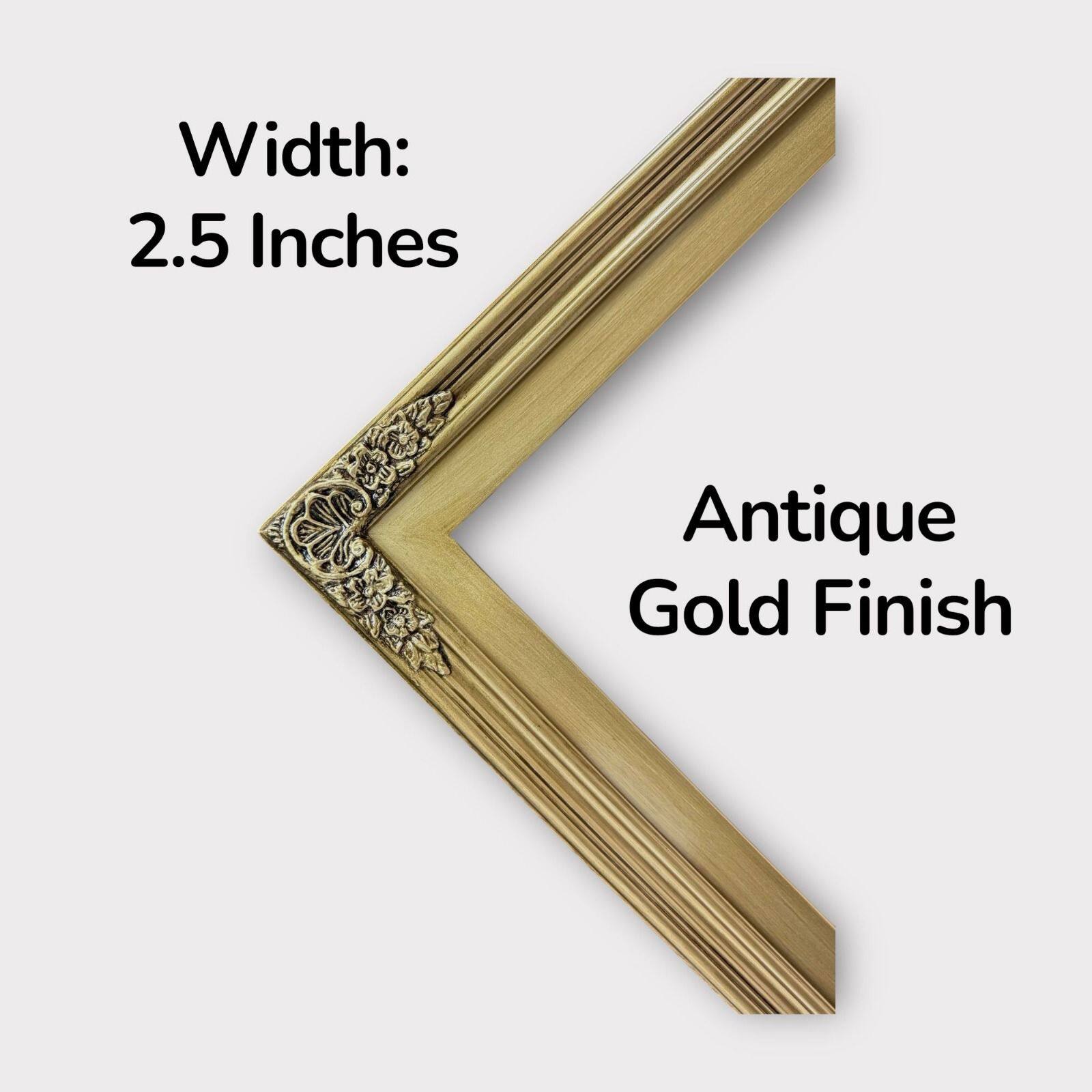 Width: 2.5 Inches  
Antique Gold Finish