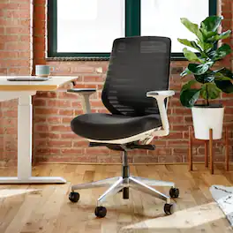 Branch Furniture - Branch Ergonomic Chair – Adjustable Office Chair for All-Day Comfort with Lumbar Support and Recycled Mesh Back - Black