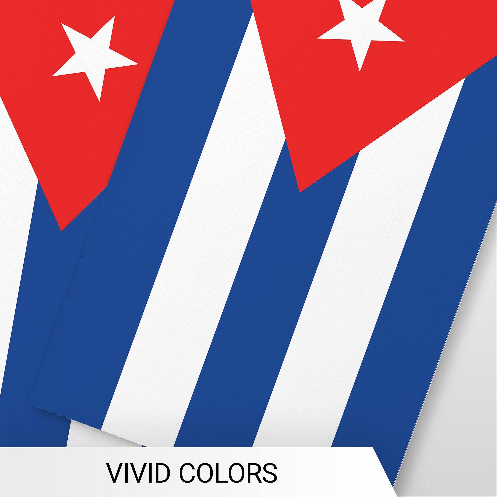 VIVID COLORS