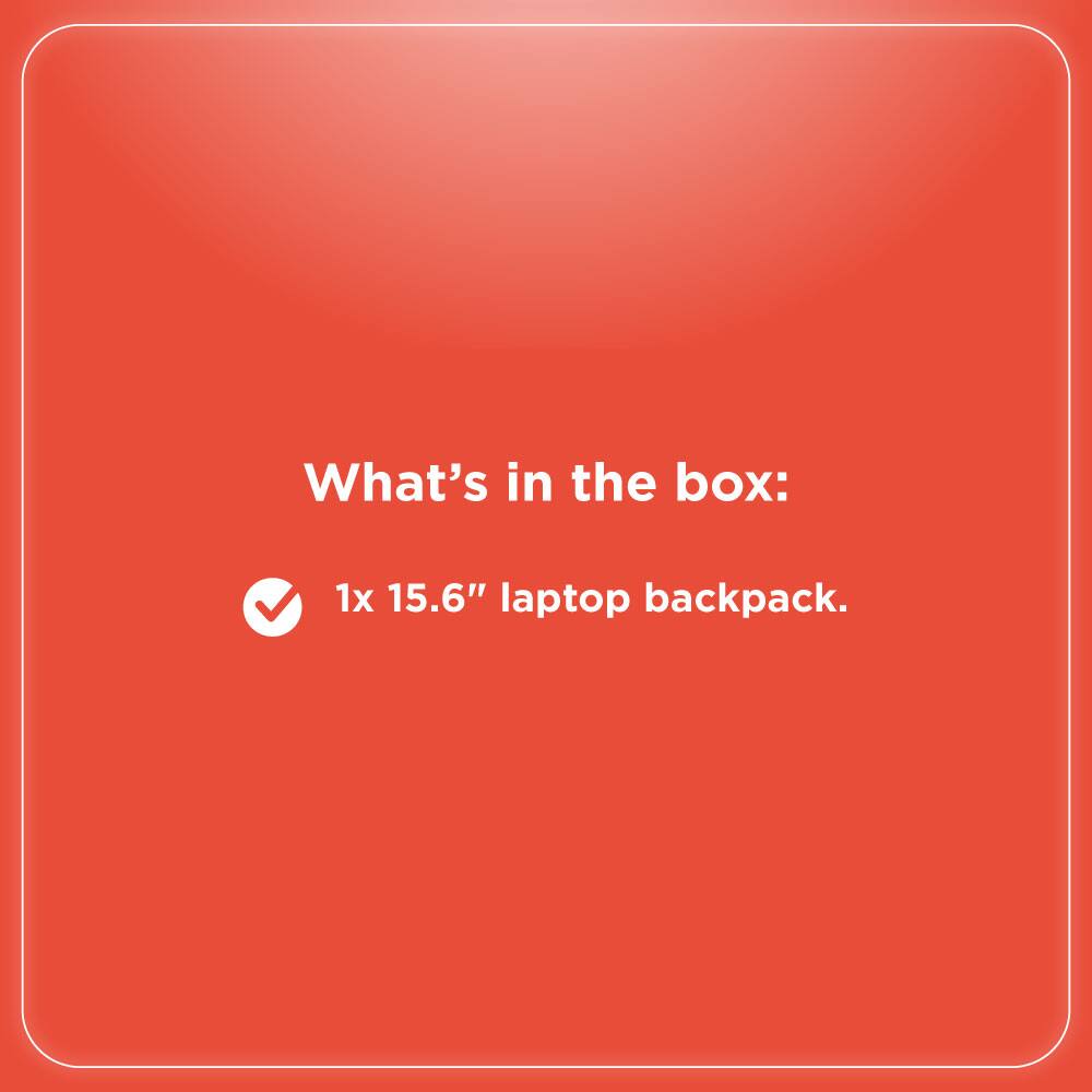 What's in the box:  
1x 15.6" laptop backpack.