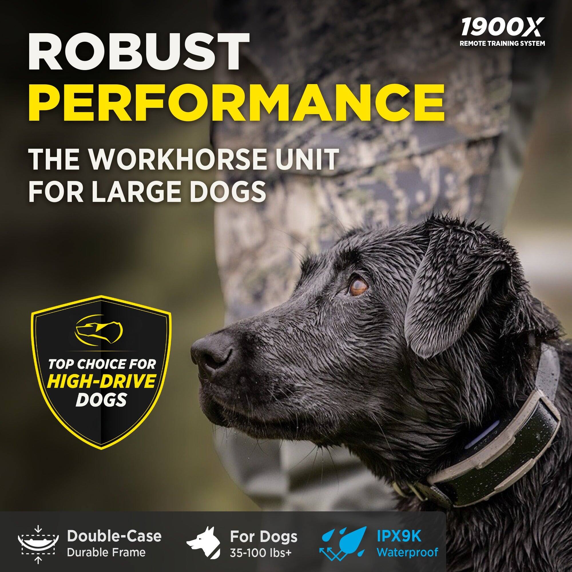1900X REMOTE TRAINING SYSTEM

ROBUST PERFORMANCE

THE WORKHORSE UNIT FOR LARGE DOGS

TOP CHOICE FOR HIGH-DRIVE DOGS

Double-Case Durable Frame

For Dogs 35-100 lbs+

IPX9K Waterproof