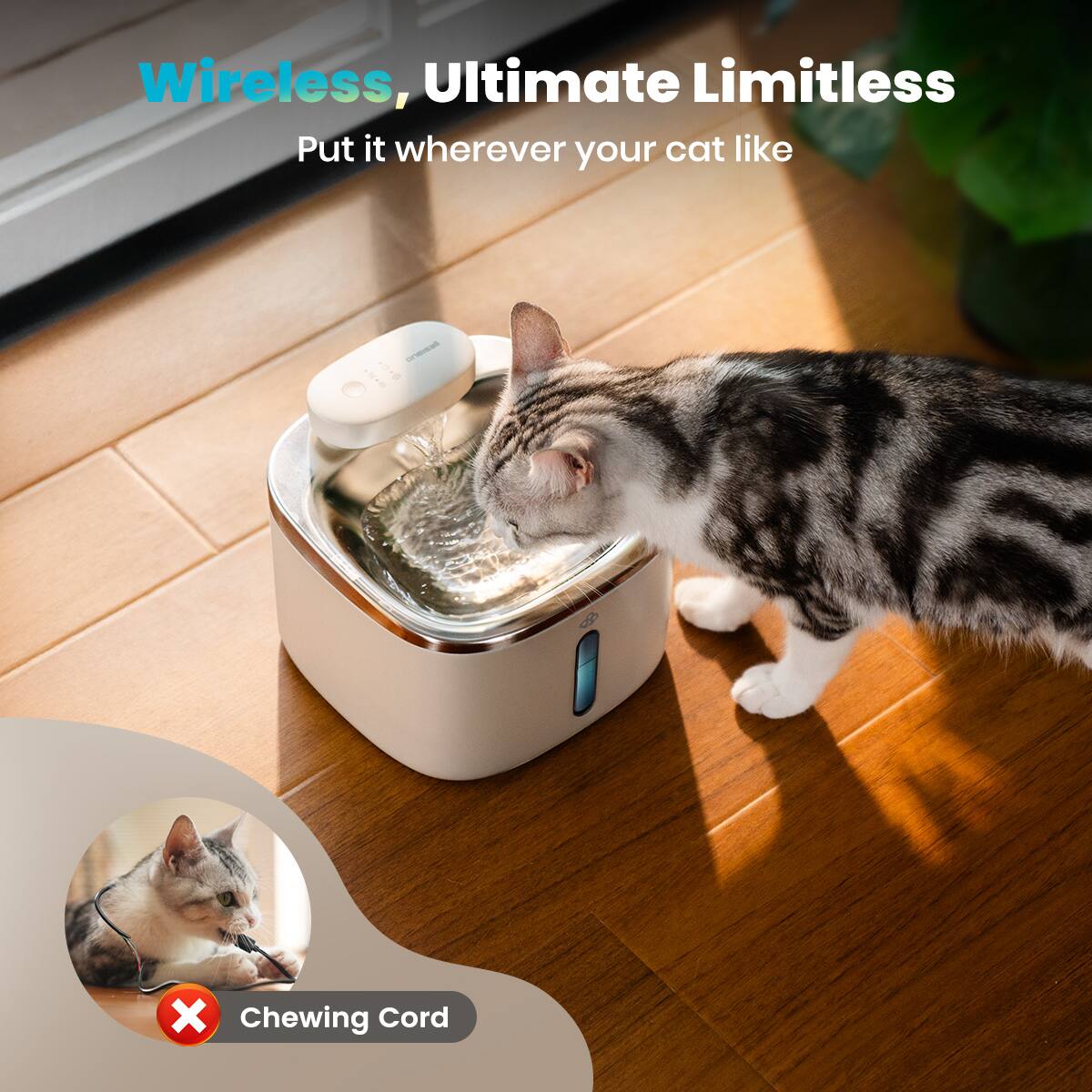 Wireless, Ultimate Limitless  
Put it wherever your cat like  

Chewing Cord