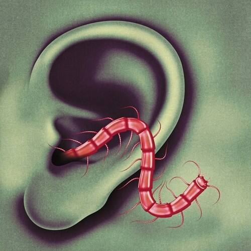 Front. Thee Oh Sees - An Odd Entrances   - COMPACT DISCS.