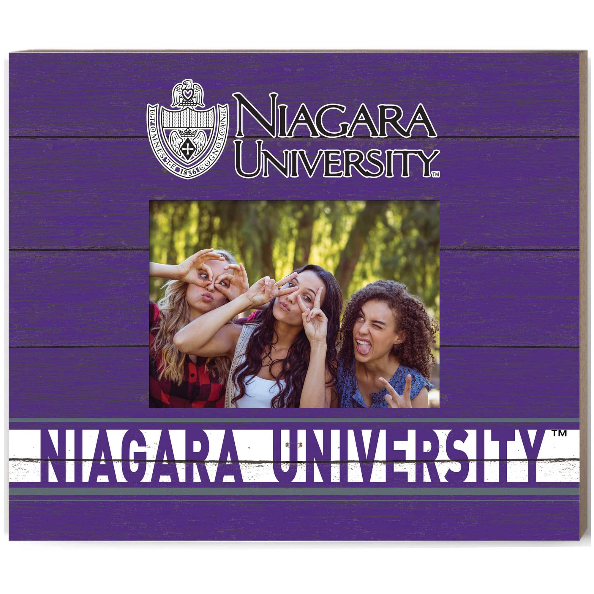 Jardine - Niagara Eagles 11'' x 13'' Team Spirit Scholastic Picture Frame - Purple price history on PriceWatchPro