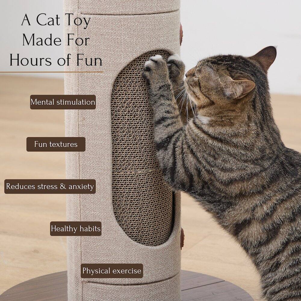 A Cat Toy Made For Hours of Fun

- Mental stimulation
- Fun textures
- Reduces stress & anxiety
- Healthy habits
- Physical exercise