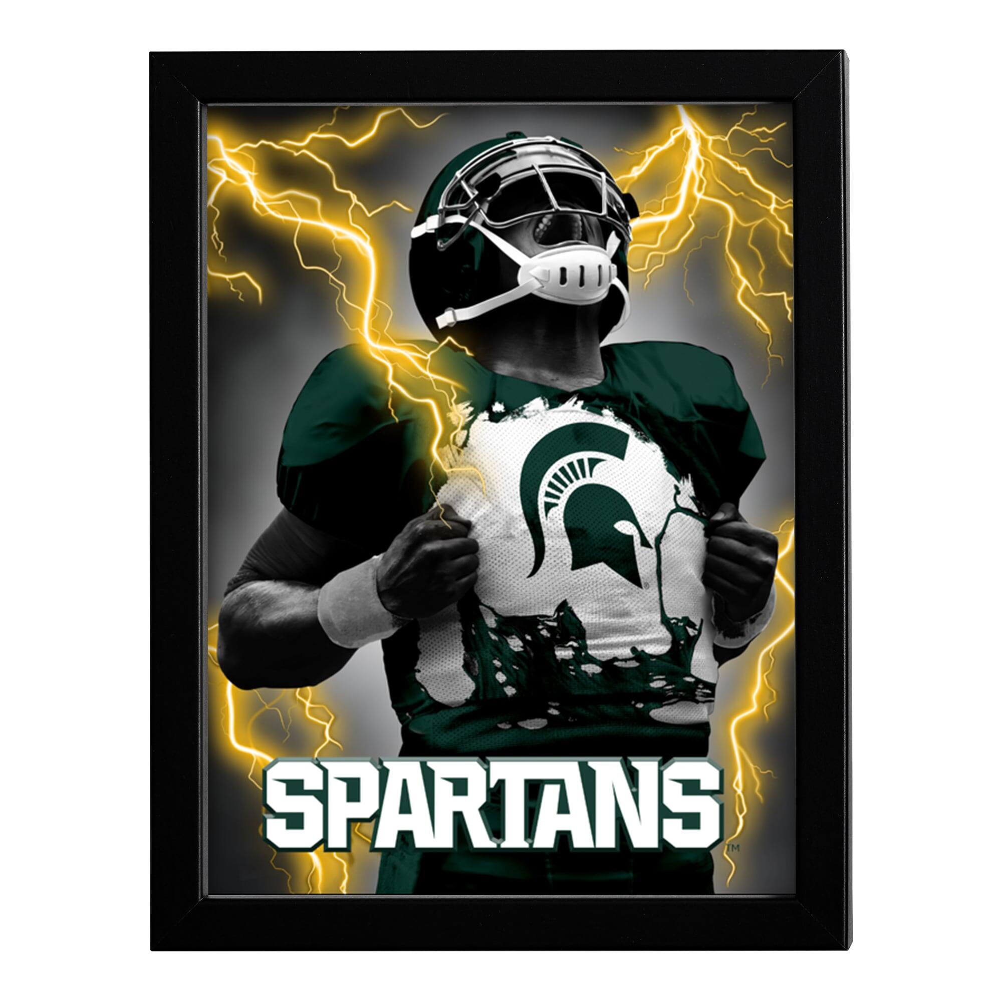Front. Sporticulture - Michigan State Spartans 14" x 18" Framed 3D Lenticular Art - Green.