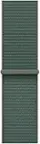 Front. Apple - 42mm Sport Loop - Sage.