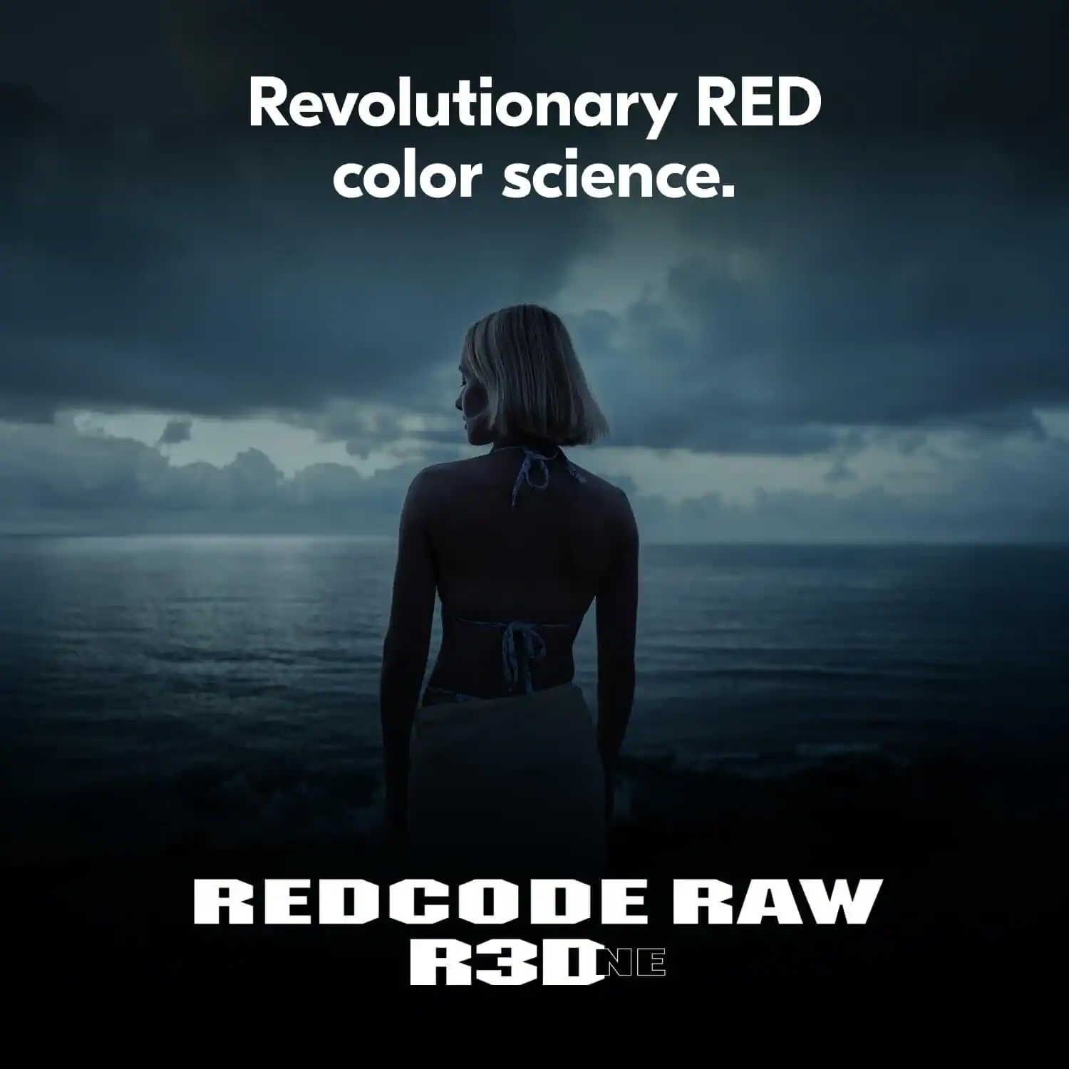 Revolutionary RED color science.  
REDCODE RAW R3D NE