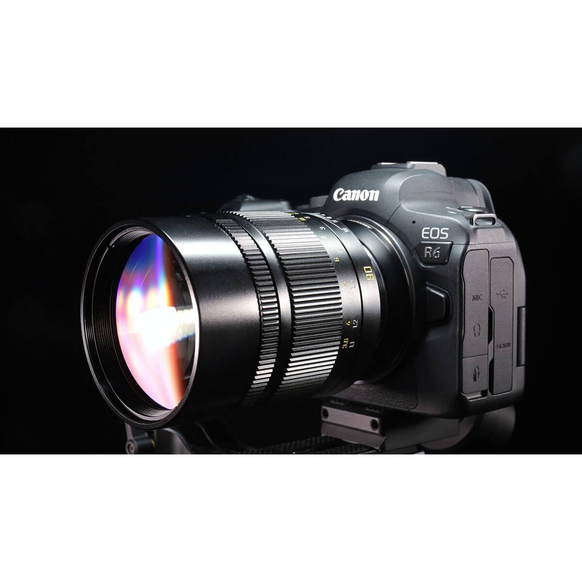 Canon EOS R6 11 MIC