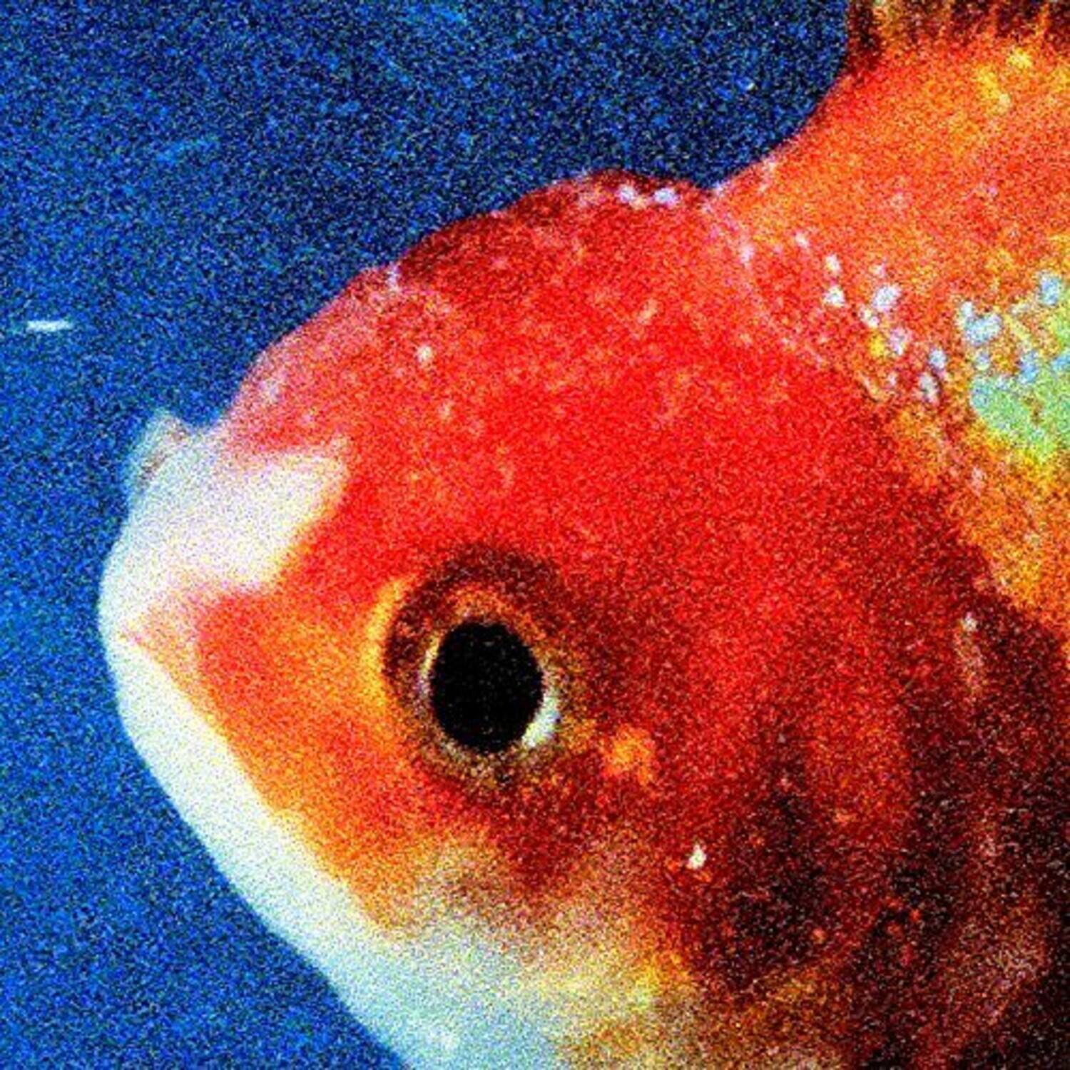 Front. Vince Staples - Big Fish Theory   - VINYL LP.