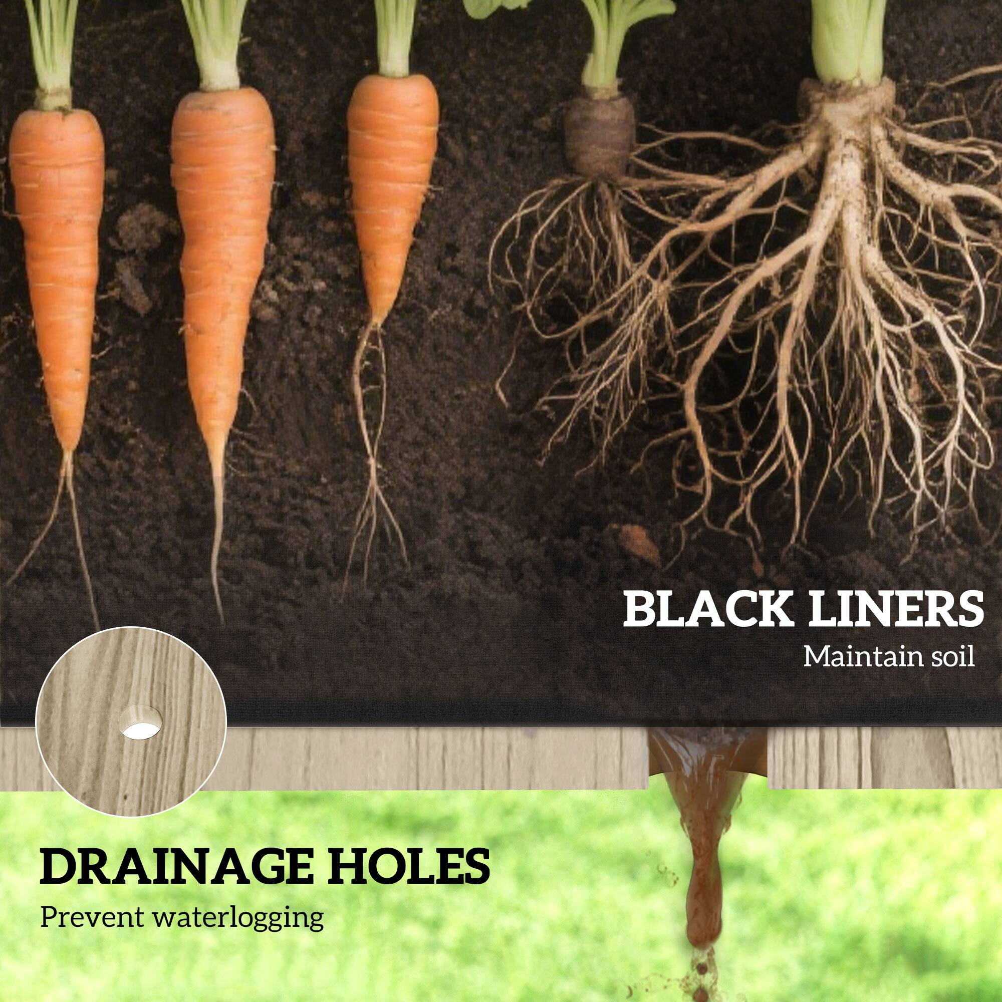 BLACK LINERS  
Maintain soil  

DRAINAGE HOLES  
Prevent waterlogging