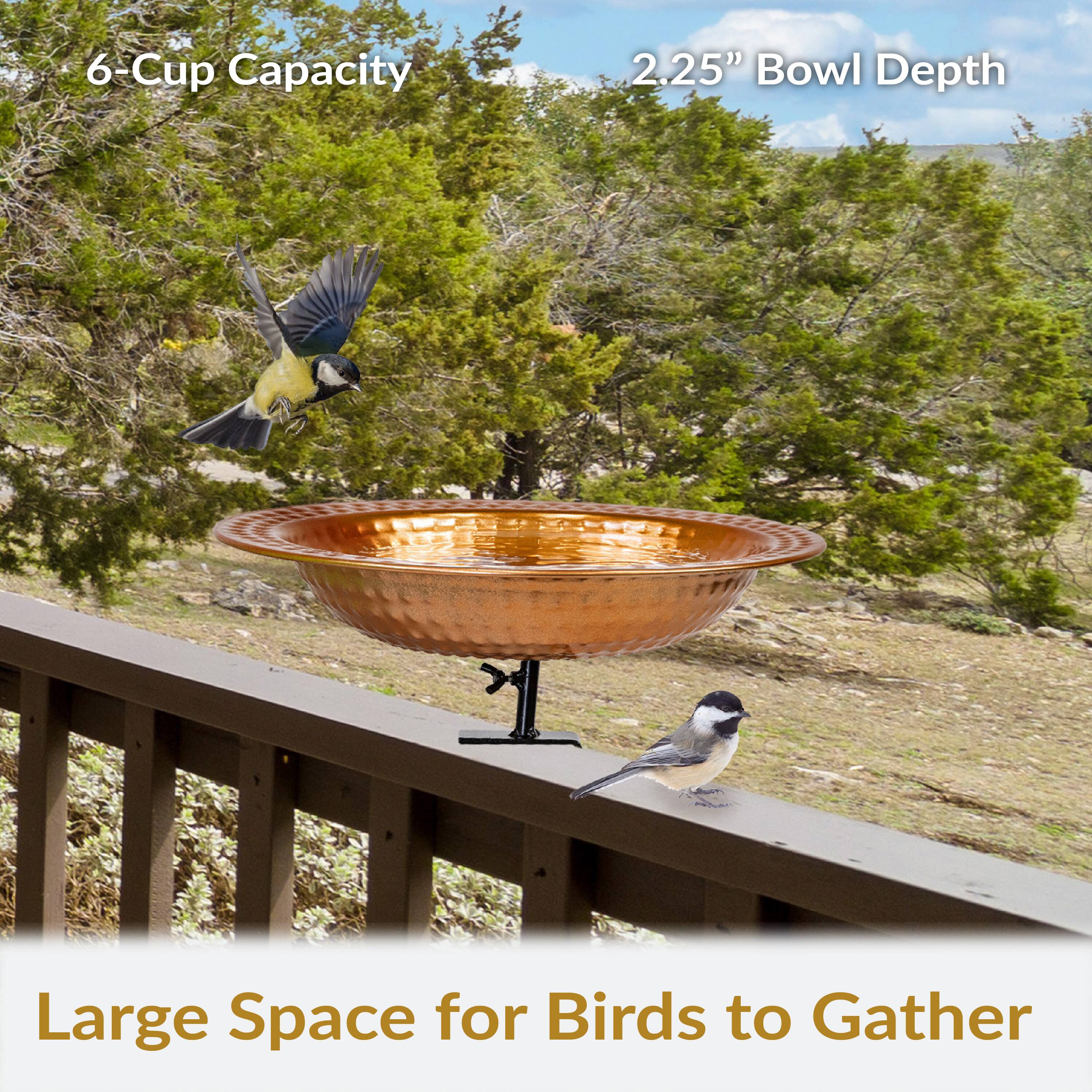 6-Cup Capacity  
2.25" Bowl Depth  
Large Space for Birds to Gather