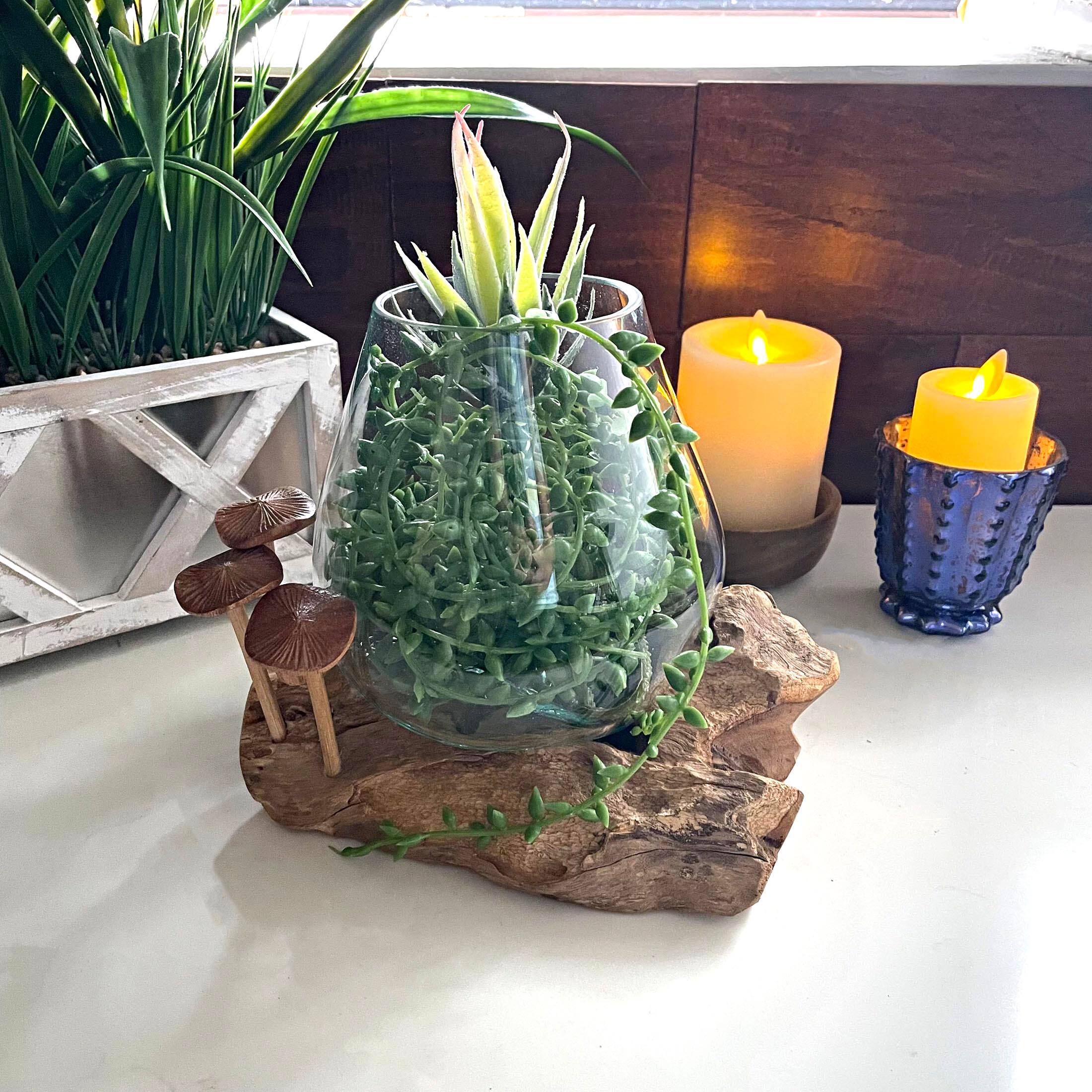 Alt View 3. Things2Die4 - Handcrafted Glass and Teak Vase with Wood Mushroom Embellishments, Rustic Accent - Brown.