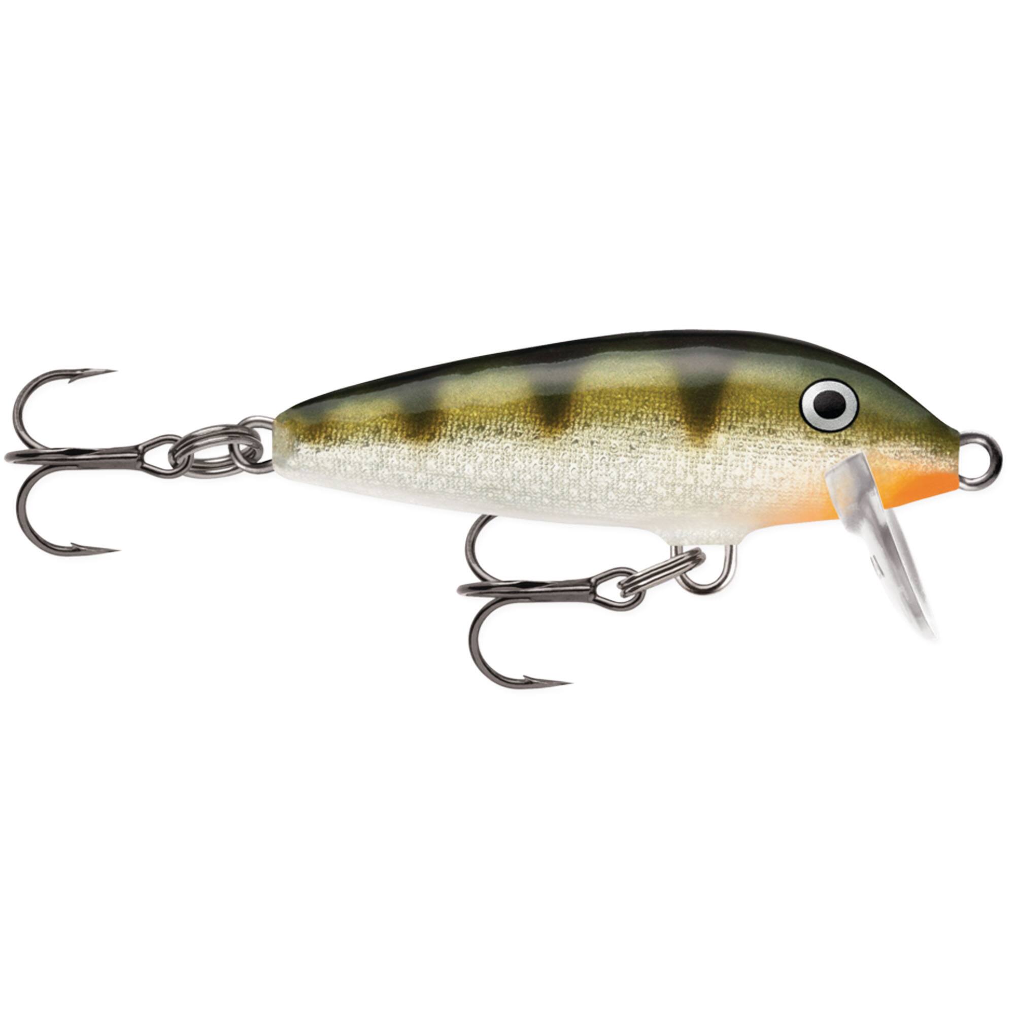 Yellow Perch