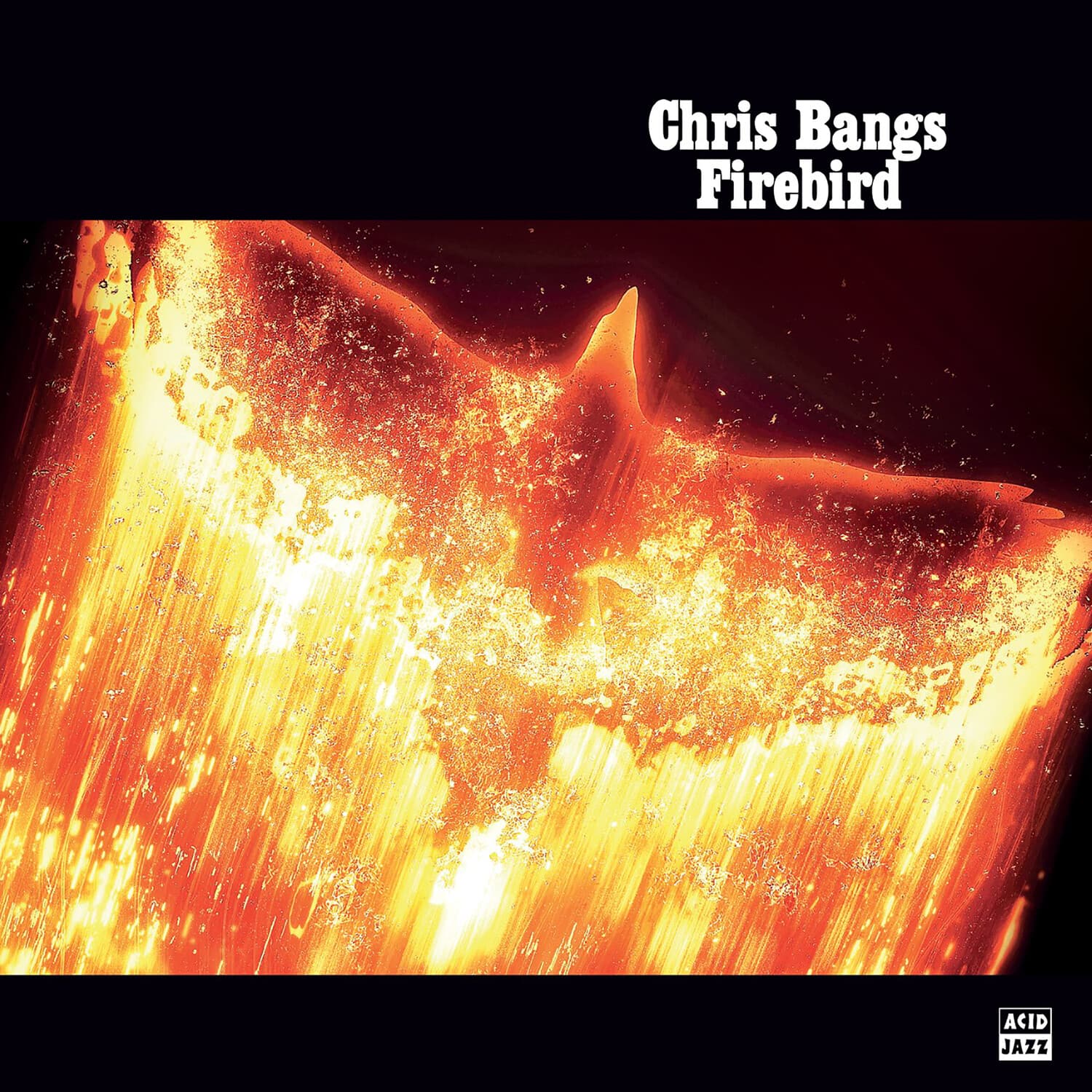Chris Bangs - Firebird   - COMPACT DISCS [CD] price history on PriceWatchPro