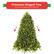 Premium Hinged Tree Christmas Tree with Hinged Branches Will Expand Easier