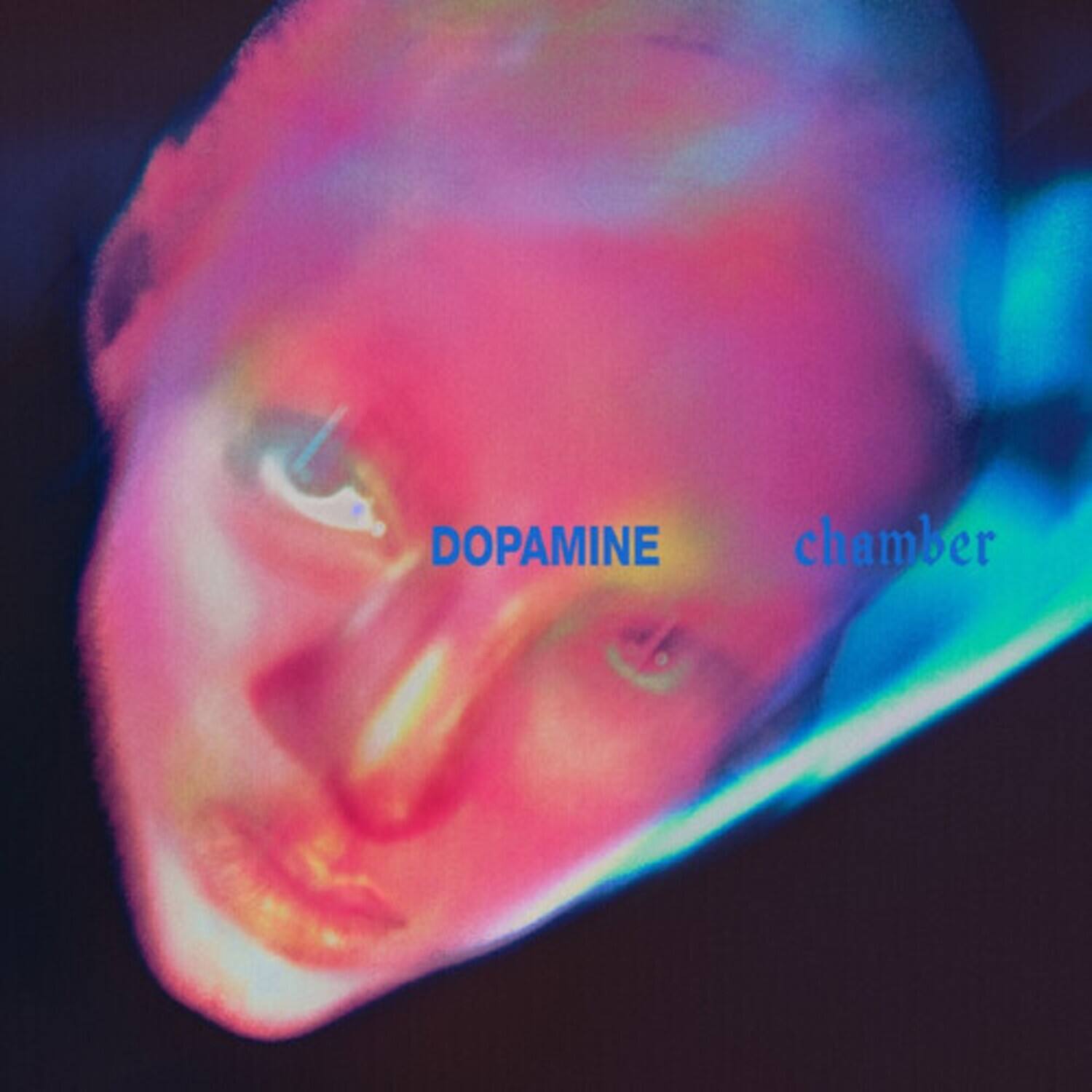 Fontaines D.C. Dopamine Chamber VINYL LP - Best Buy