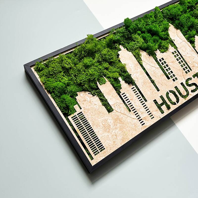 T10 !IIII!!!!  
HOUSTON