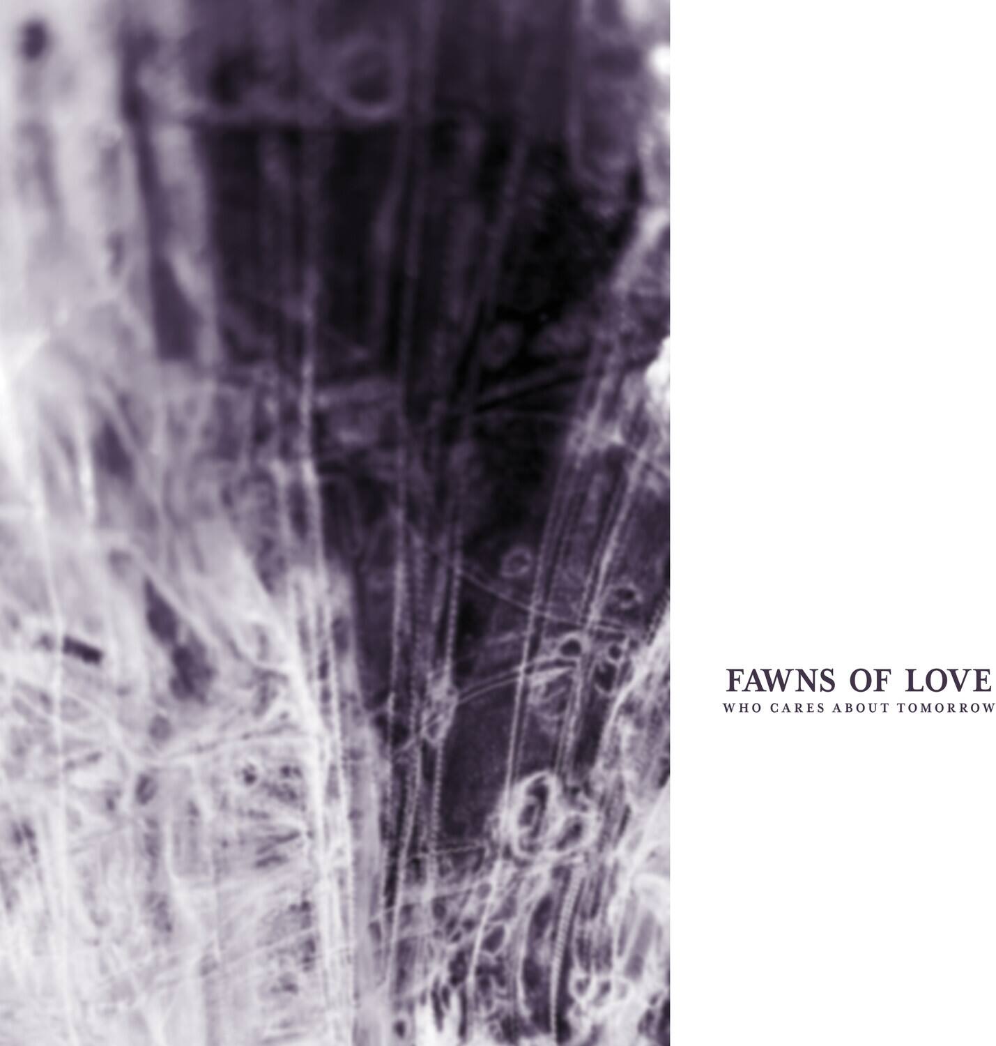 Fawns of Love - Who Cares About Tomorrow   - VINYL LP price history on PriceWatchPro