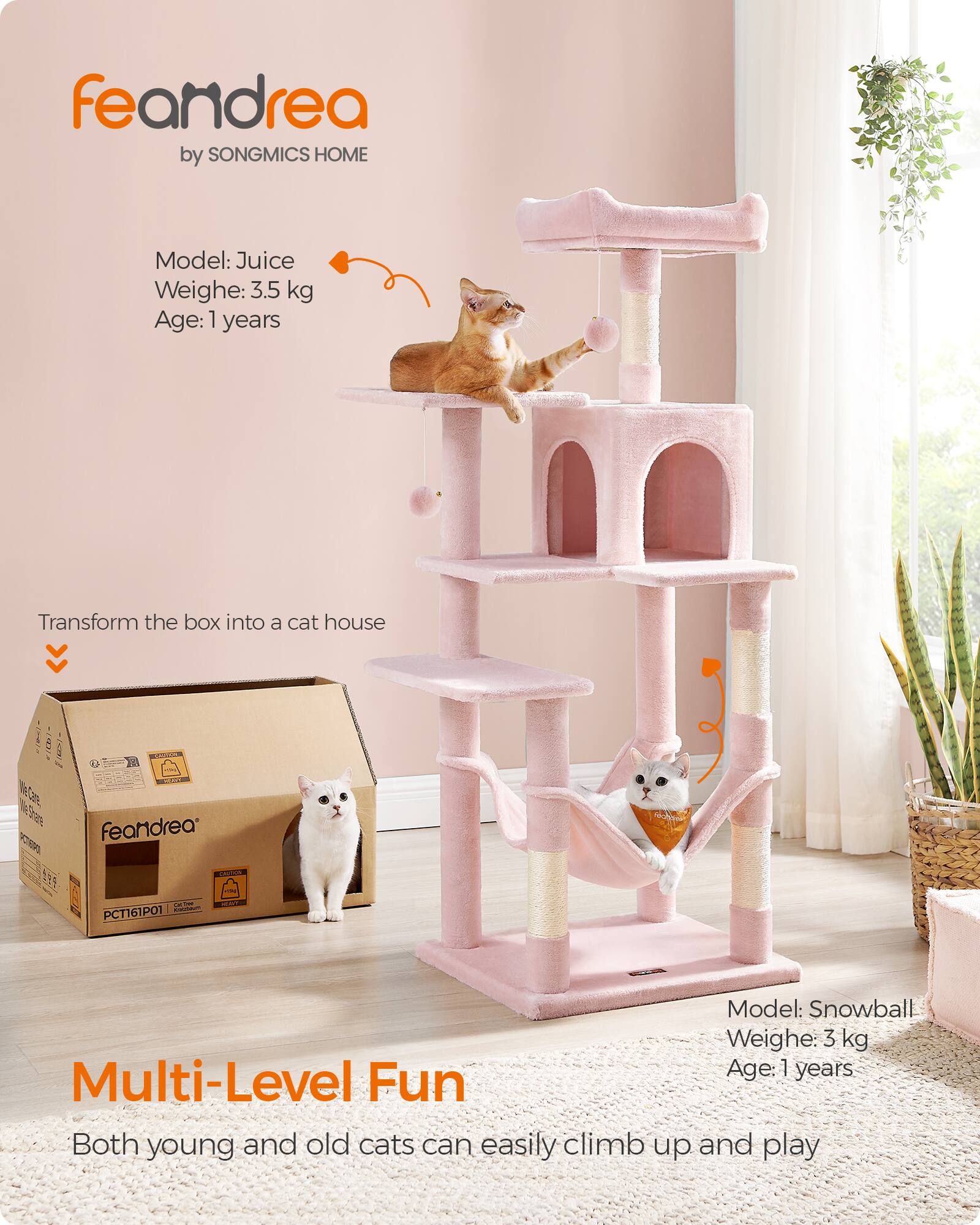 feandrea by SONGMICS HOME

Model: Juice  
Weight: 3.5 kg  
Age: 1 years

Transform the box into a cat house

TRANCE CONT  
feandrea  
CRITES  
serve PCT161P01  
MAY

Model: Snowball  
Weight: 3 kg  
Age: 1 years

Multi-Level Fun  
Both young and old cats can easily climb up and play