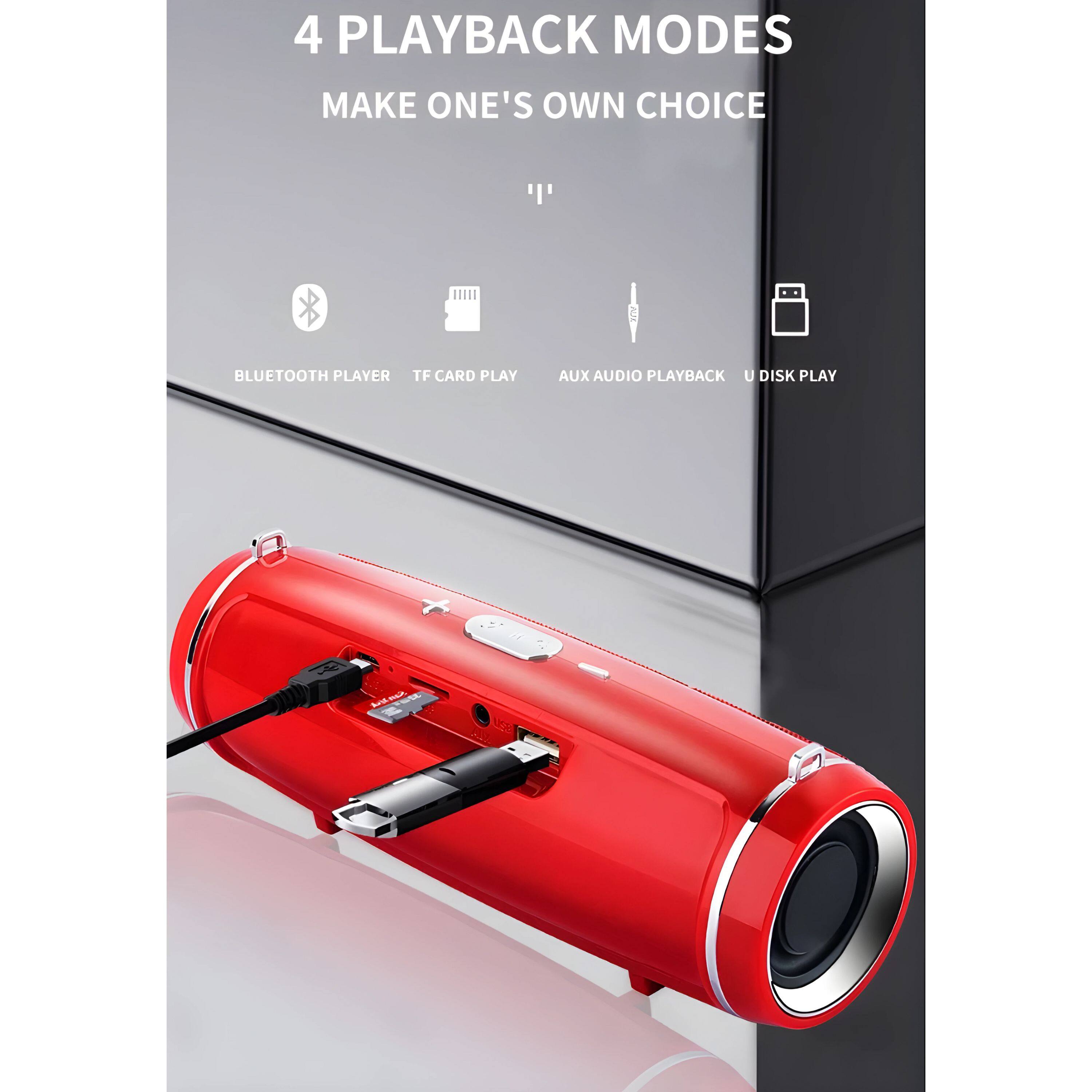 4 PLAYBACK MODES  
MAKE ONE'S OWN CHOICE  

- BLUETOOTH PLAYER  
- TF CARD PLAY  
- AUX AUDIO PLAYBACK  
- U DISK PLAY