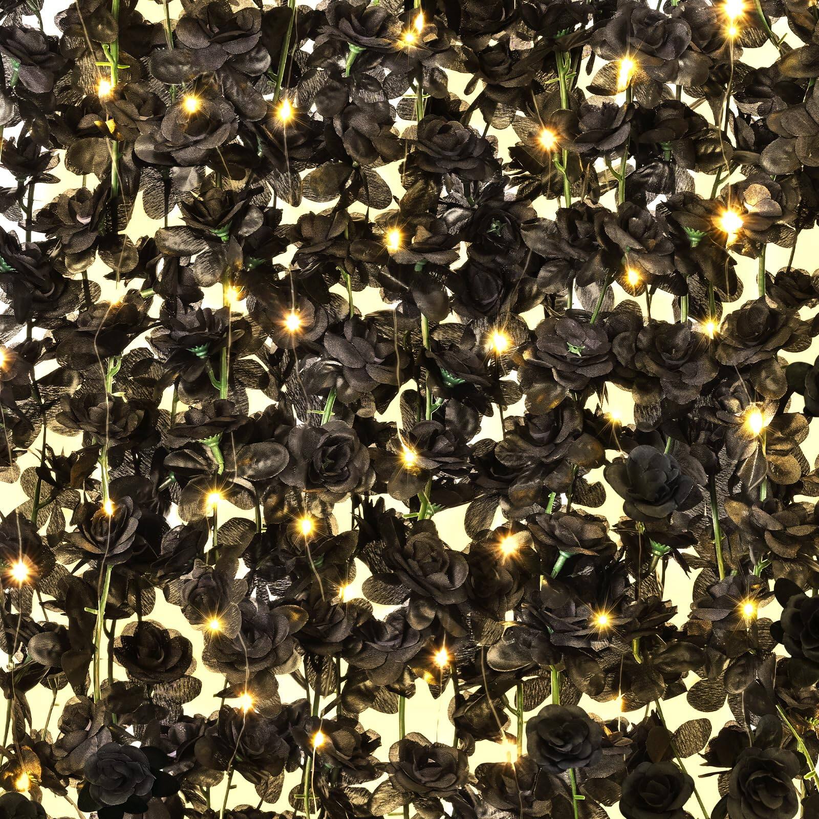 Black With Lights-5 Pcs