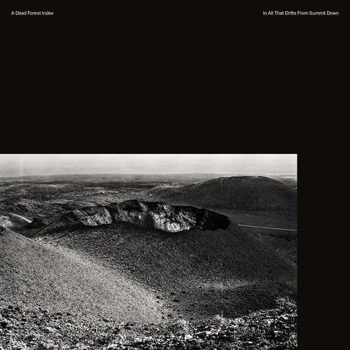 Dead Forest Index - In All That Drifts from Summit Down   - COMPACT DISCS [CD] price history on PriceWatchPro