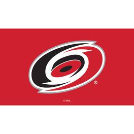 Evergreen Enterprises - Carolina Hurricanes 28" x 16" Turf Mat - Multicolor
