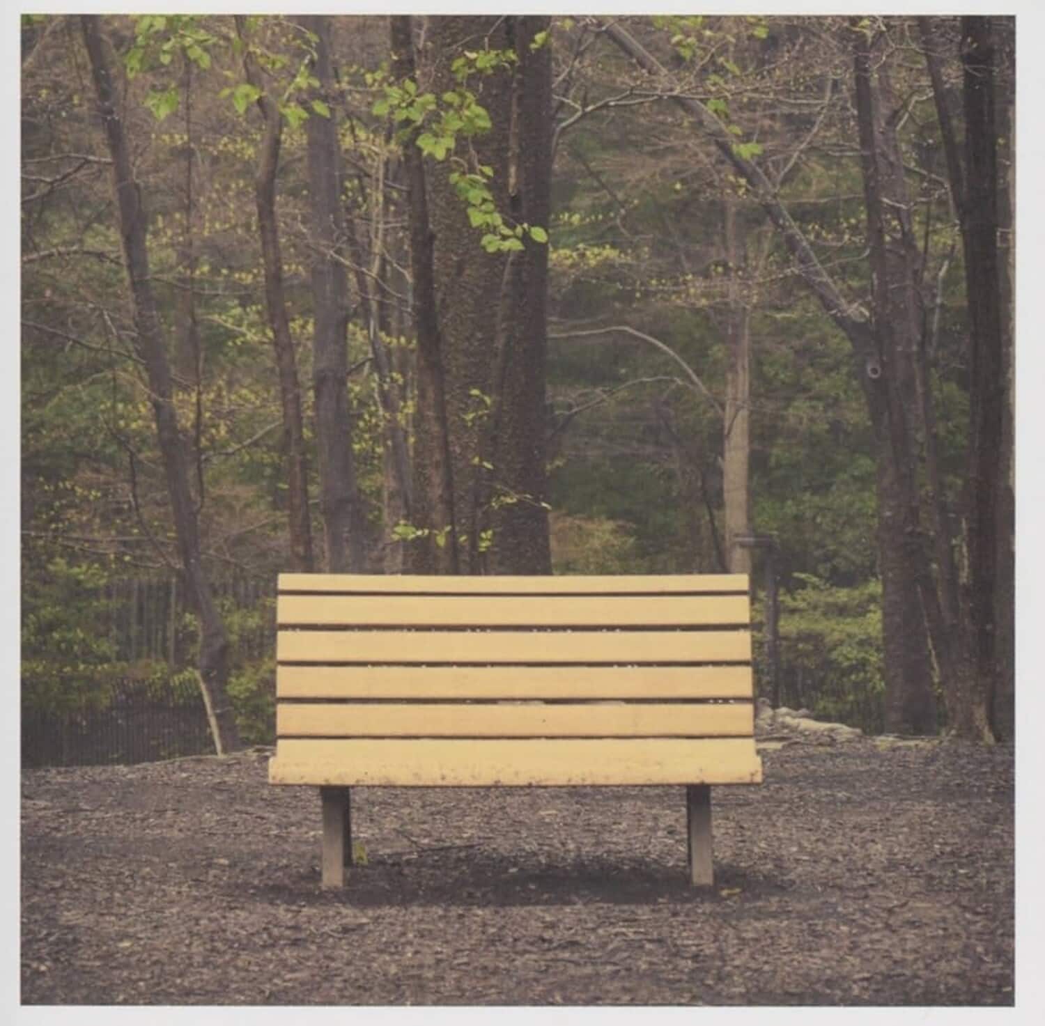 Streetlight Manifesto - The Hands That Thieve   - VINYL LP price history on PriceWatchPro