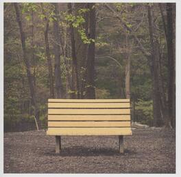Streetlight Manifesto - The Hands That Thieve - VINYL LP