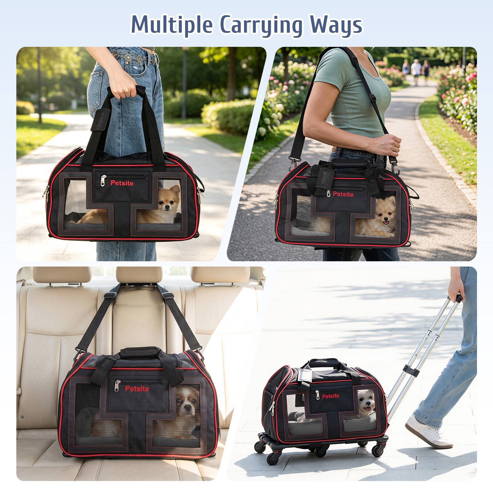 Multiple Carrying Ways