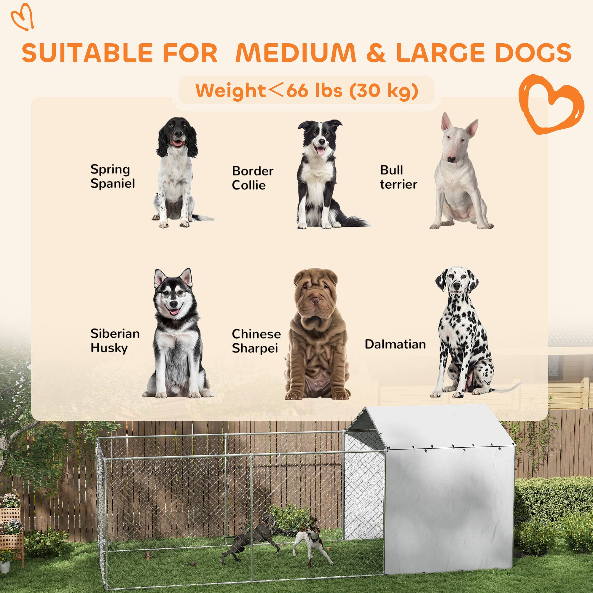 SUITABLE FOR MEDIUM & LARGE DOGS  
Weight < 66 lbs (30 kg)  

- Spring Spaniel  
- Border Collie  
- Bull Terrier  
- Siberian Husky  
- Chinese Sharpei  
- Dalmatian