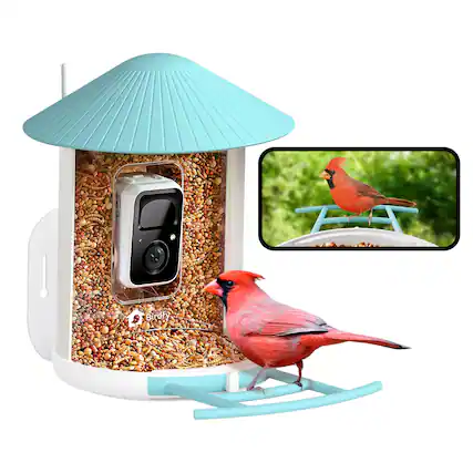 Front. BIRDFY - Smart Bird Feeder with Camera, AI Bird Recognition (7-Day Free Trial), HD Video for Backyard Birdwatching - Blue.