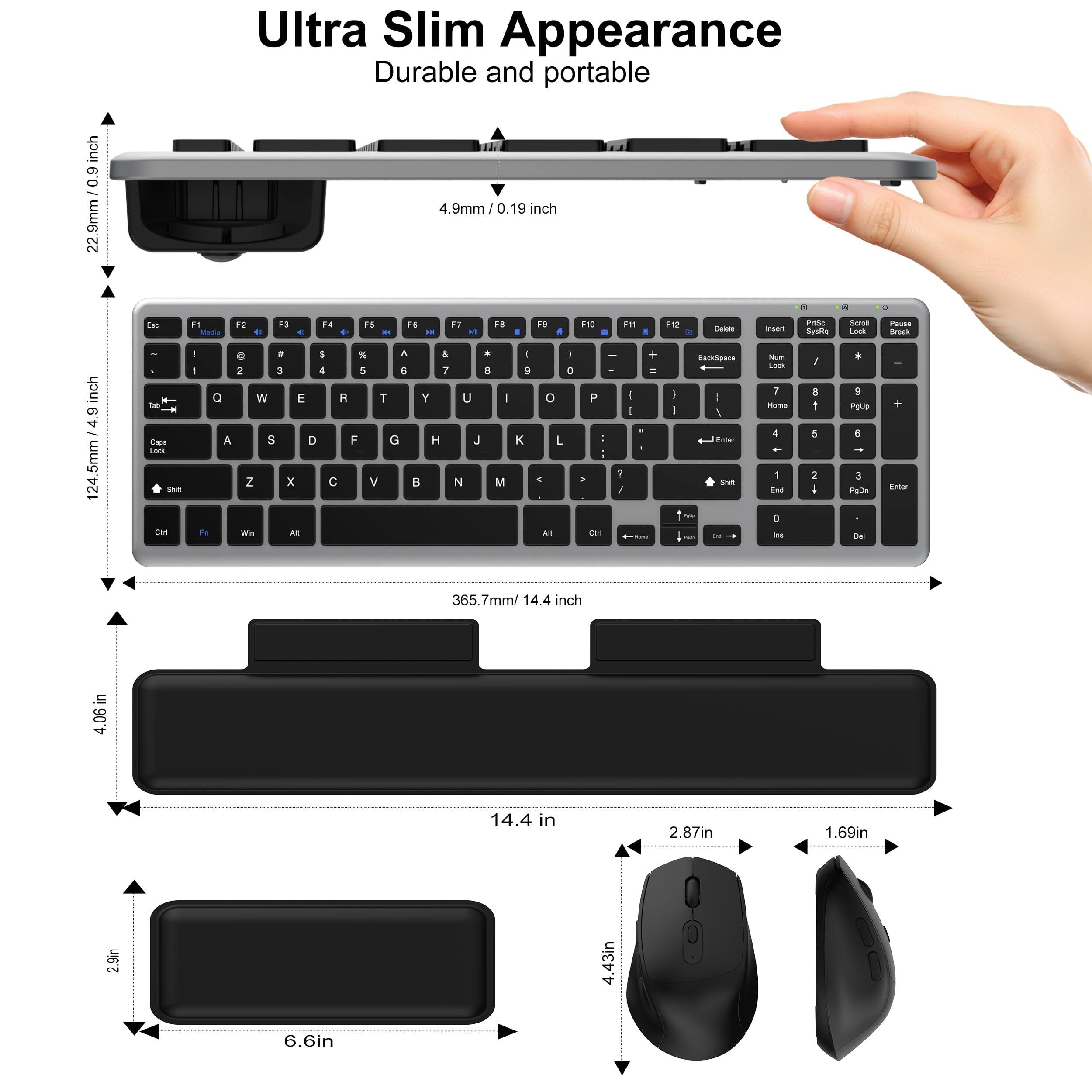 Ultra Slim Appearance  
Durable and portable  

22.9mm / 0.9 inch  
4.9mm / 0.19 inch  

124.5mm / 4.9 inch  
365.7mm / 14.4 inch  

4.06 in  
14.4 in  
2.87 in  
1.69 in  
2.9 in  
6.6 in  
4.43 in