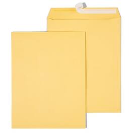 Staples - EasyClose Kraft Catalog Envelopes, 10"L x 13"H, 250/Box - Brown