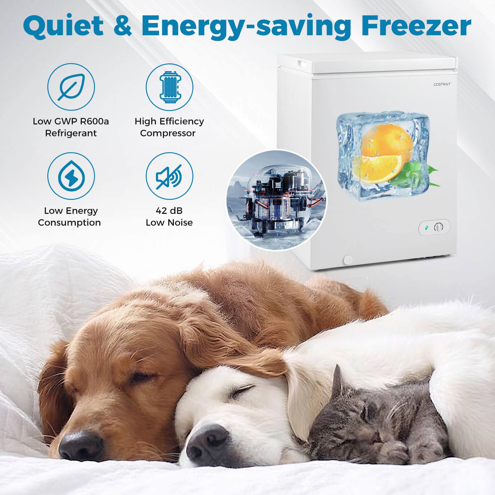 Quiet & Energy-saving Freezer

- Low GWP R600a Refrigerant
- High Efficiency Compressor
- Low Energy Consumption
- 42 dB Low Noise