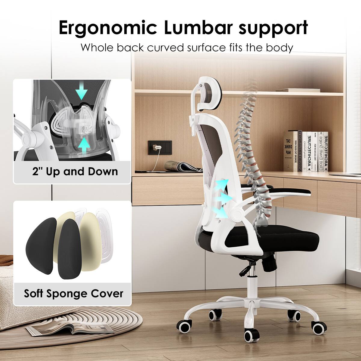 Ergonomic Lumbar support  
Whole back curved surface fits the body  

2" Up and Down  

Soft Sponge Cover