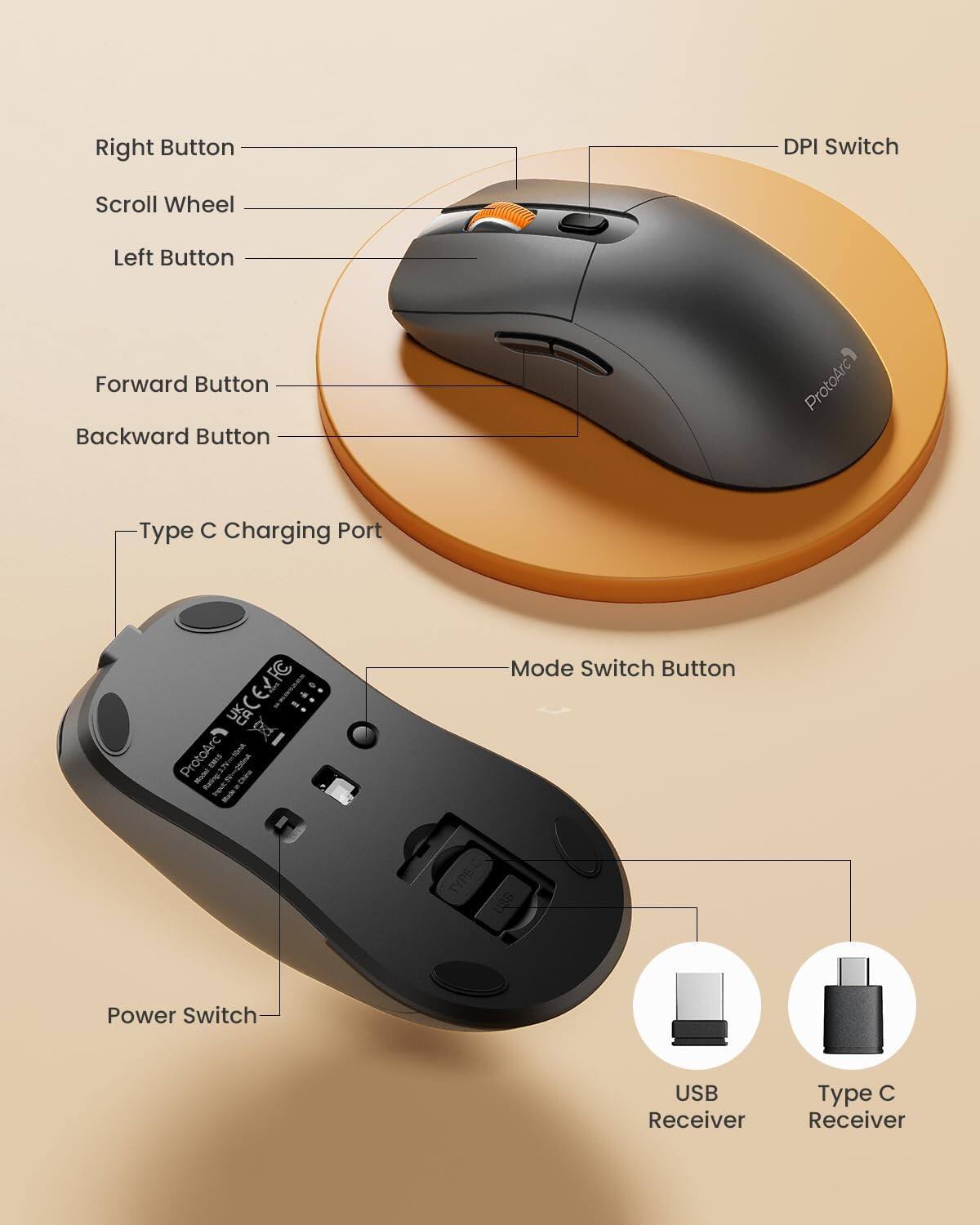 Right Button  
DPI Switch  
Scroll Wheel  
Left Button  
Forward Button  
Backward Button  
ProtoArc  
Type C Charging Port  
ProtoArc1 Mader EMTS Made  
Mode Switch Button  
TYPE C USB  
Power Switch  
USB Receiver  
Type C Receiver
