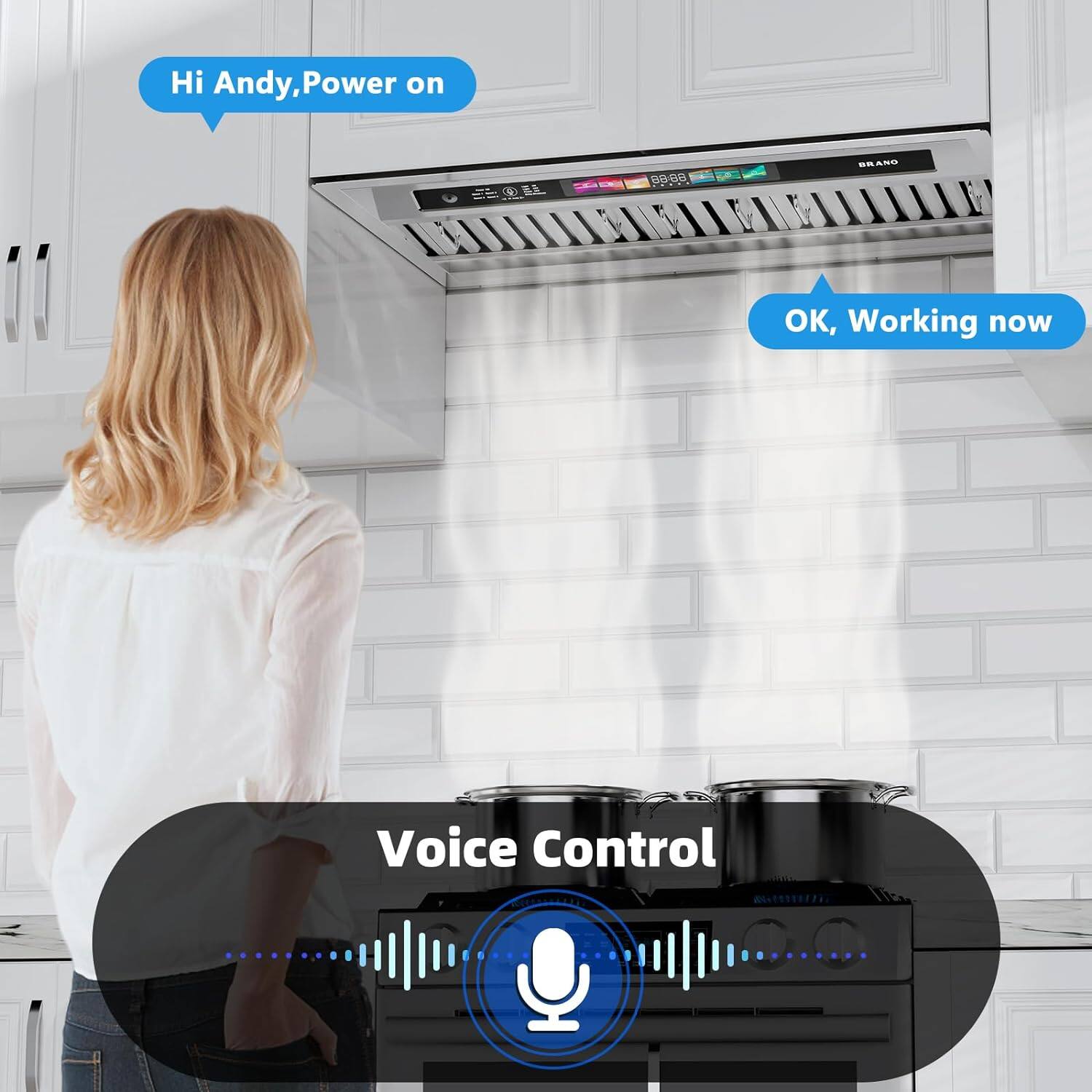 Hi Andy, Power on  
OK, Working now  
Voice Control