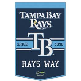 WinCraft - Tampa Bay Rays 24" x 38" Primary Logo Banner - Multicolor