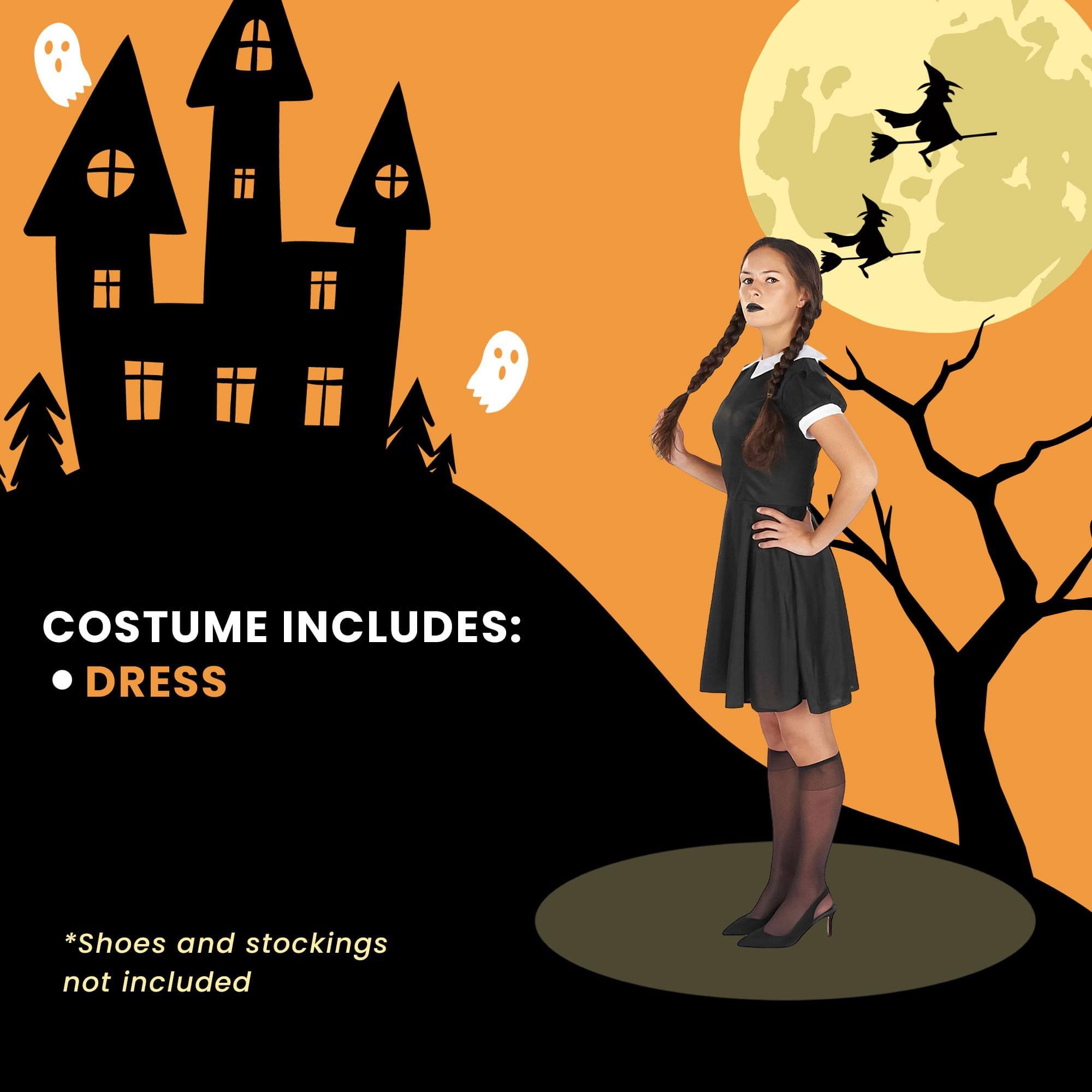 COSTUME INCLUDES:  
- DRESS  

*Shoes and stockings not included
