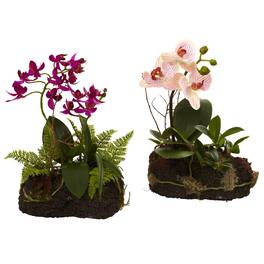 BreeBe - Orchid Island (Set of 2) - Pink