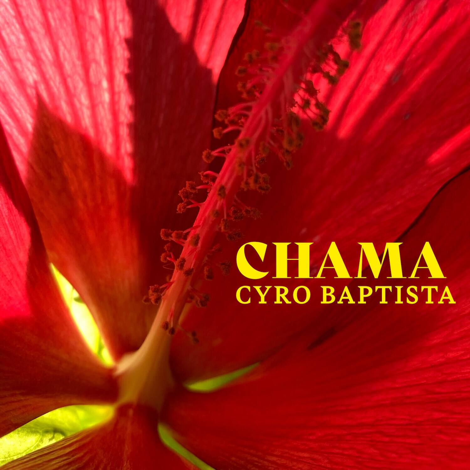 Cyro Baptista - Chama   - COMPACT DISCS [CD] price history on PriceWatchPro