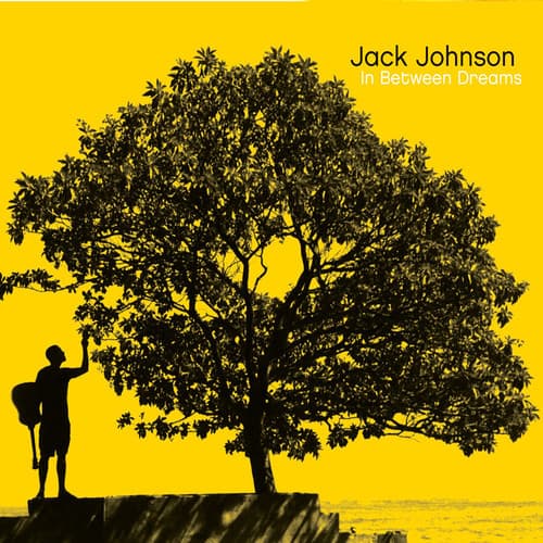 Jack Johnson  
In Between Dreams