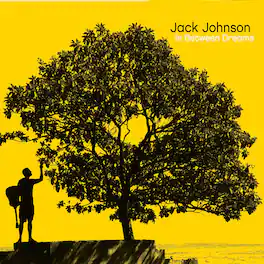 Jack Johnson - In Between Dreams - VINYL LP