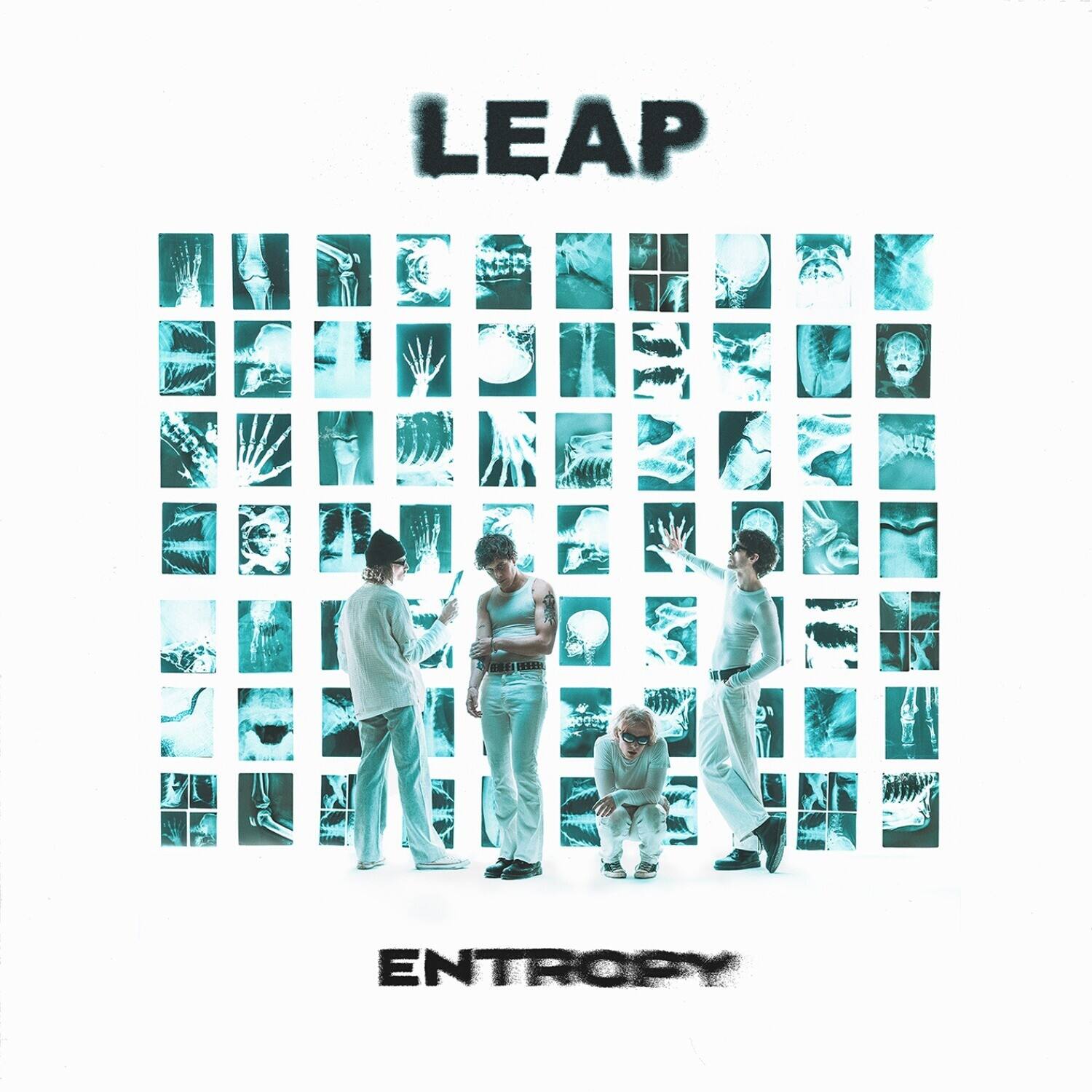 Leap - Entropy - White   - VINYL LP price history on PriceWatchPro